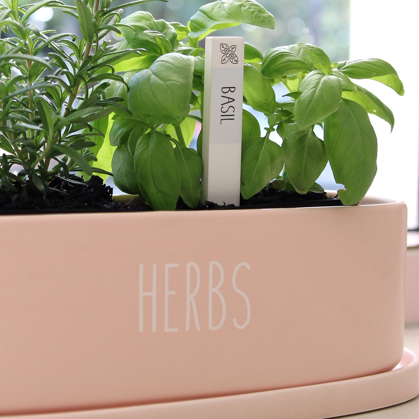 Herb Labels