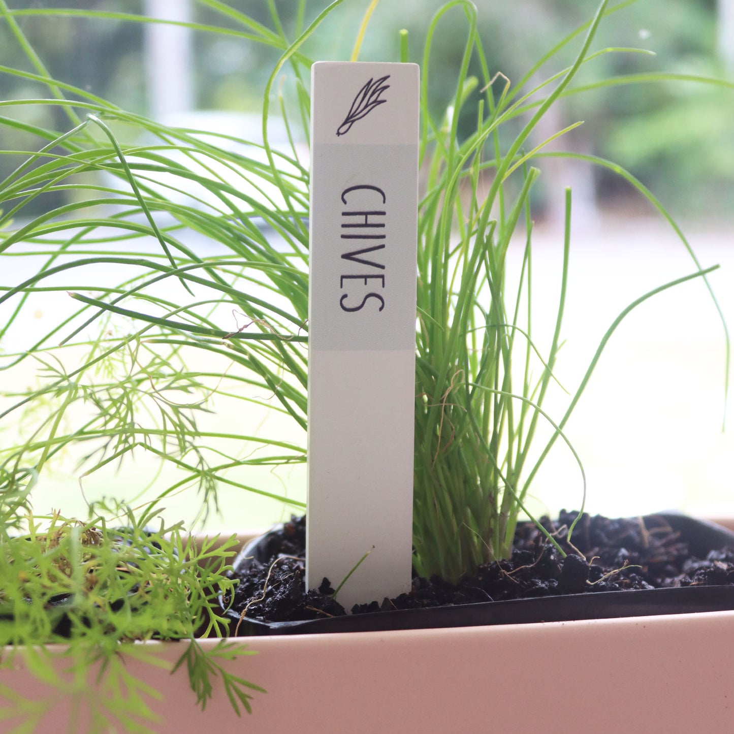 Herb Labels