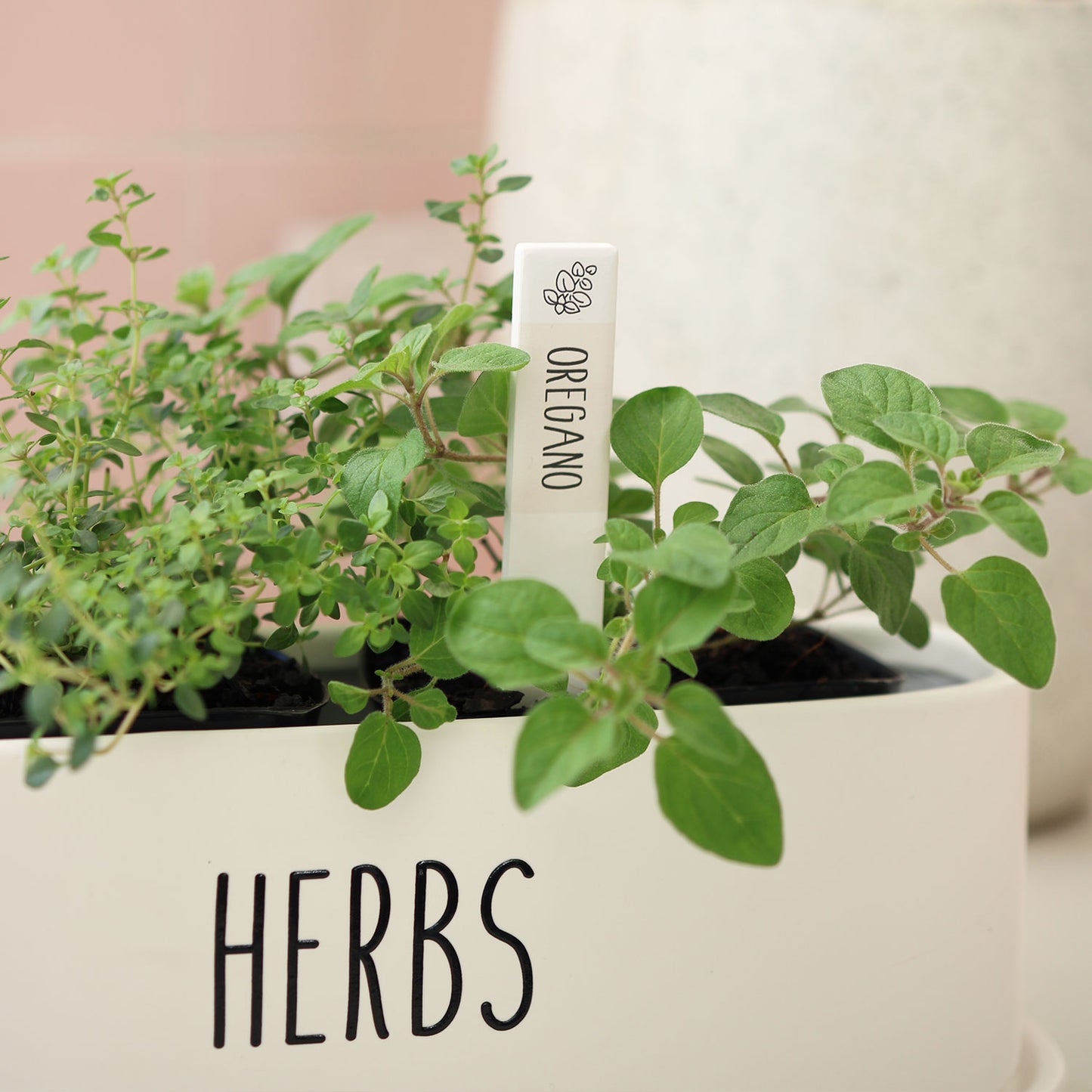 Herb Labels